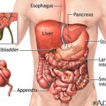 Understanding the ICD-10 Code for Abdominal Pain