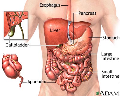 Understanding the ICD-10 Code for Abdominal Pain