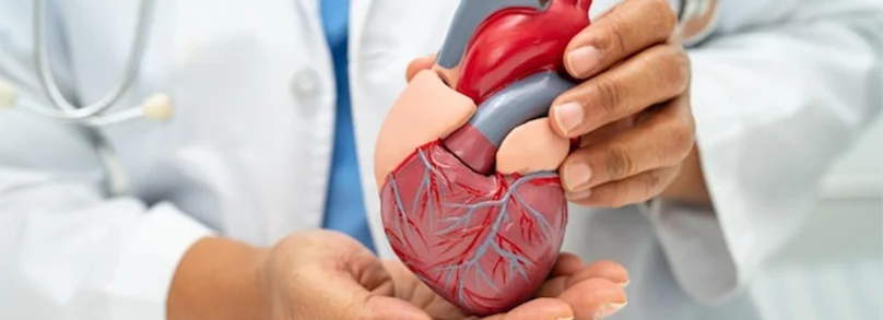 Cardiology
